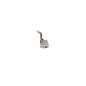 Conector Carga DC-IN Portátil HP Compaq Mini 311 311c-1120SS